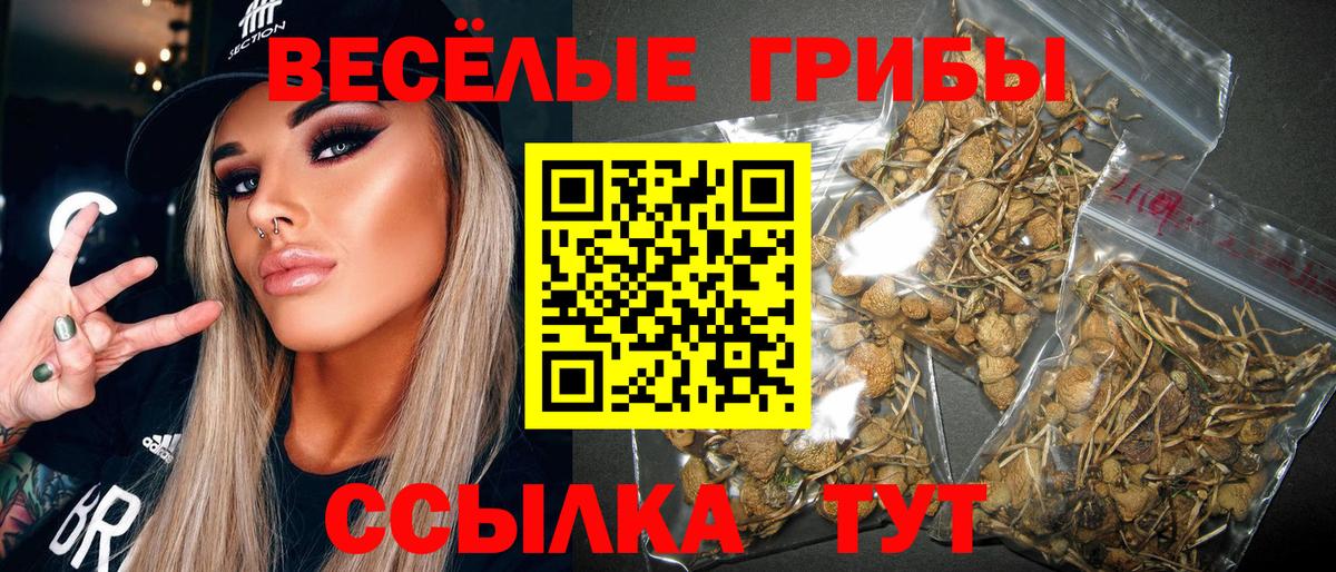 Люберцы  Псилоцибиновые грибы Cubensis  где купить наркотик  Вход с VPN 