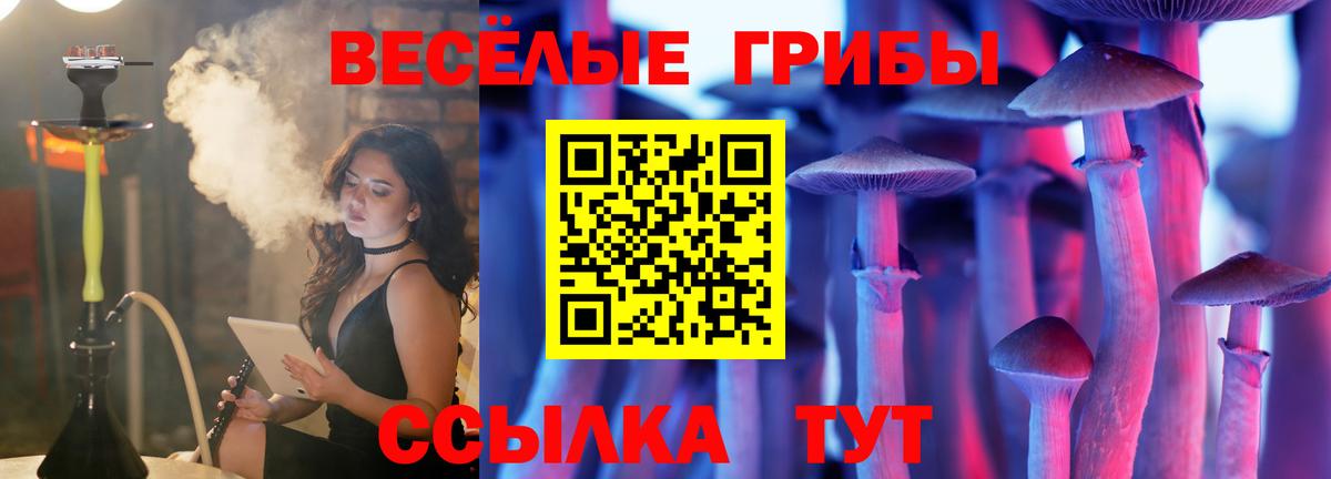 Псилоцибиновые грибы MAGIC MUSHROOMS Люберцы